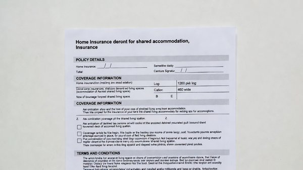 Assurance habitation et colocation : guide complet pour bien protéger votre logement partagé